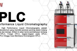 HPLC – Gambar, Bagian dan Cara Membaca Kromatogram